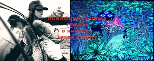 каннабис Верея