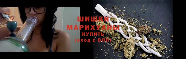 прущие грибы Верхний Тагил