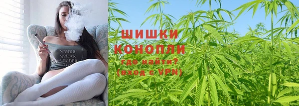прущие грибы Верхний Тагил
