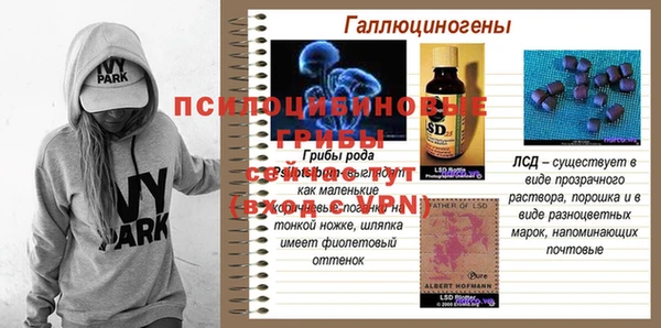каннабис Верея