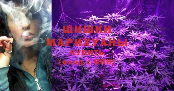 метамфетамин Гатчина