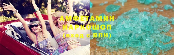 прущие грибы Верхний Тагил