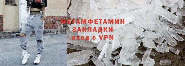 прущие грибы Верхний Тагил