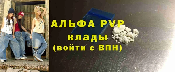 прущие грибы Верхний Тагил