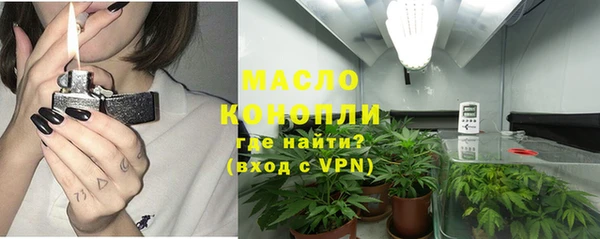 прущие грибы Верхний Тагил
