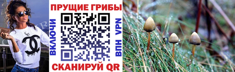 Псилоцибиновые грибы мицелий  МЕГА сайт  Вытегра 